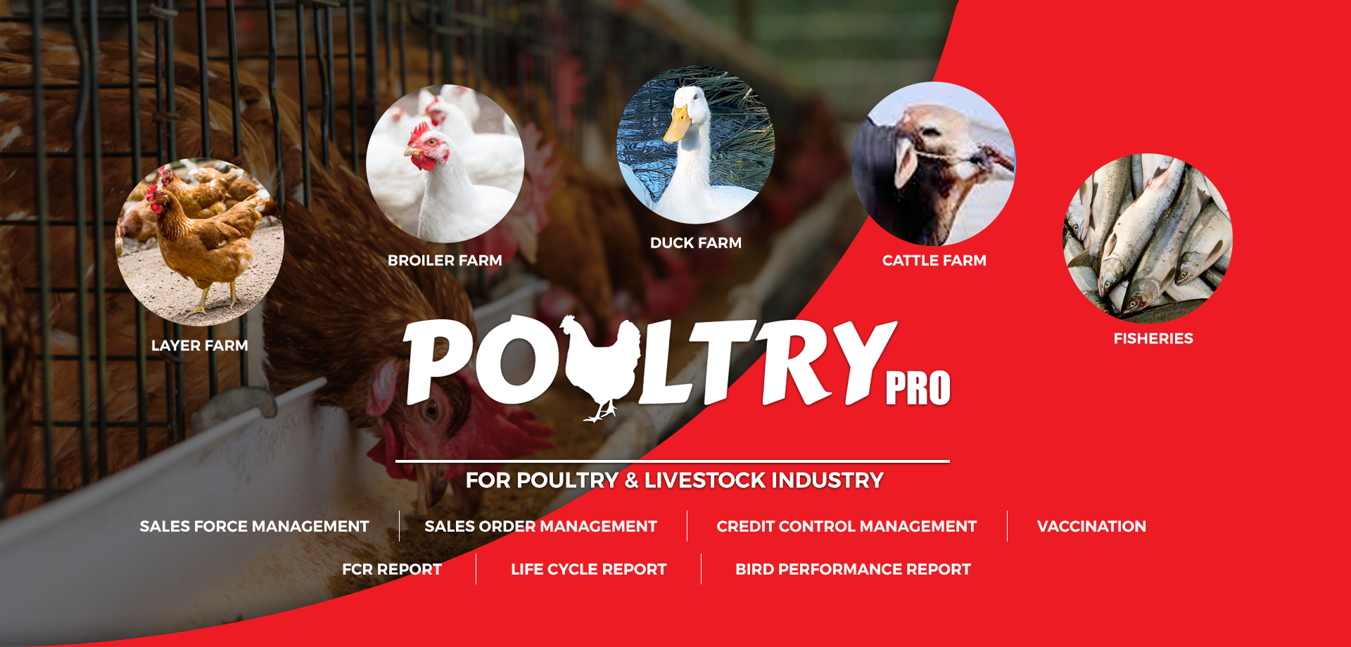 Poultry Management Software
